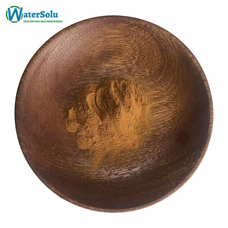 Laricifomes Officinalis Extract